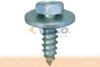 VAICO V20-0830 Screw